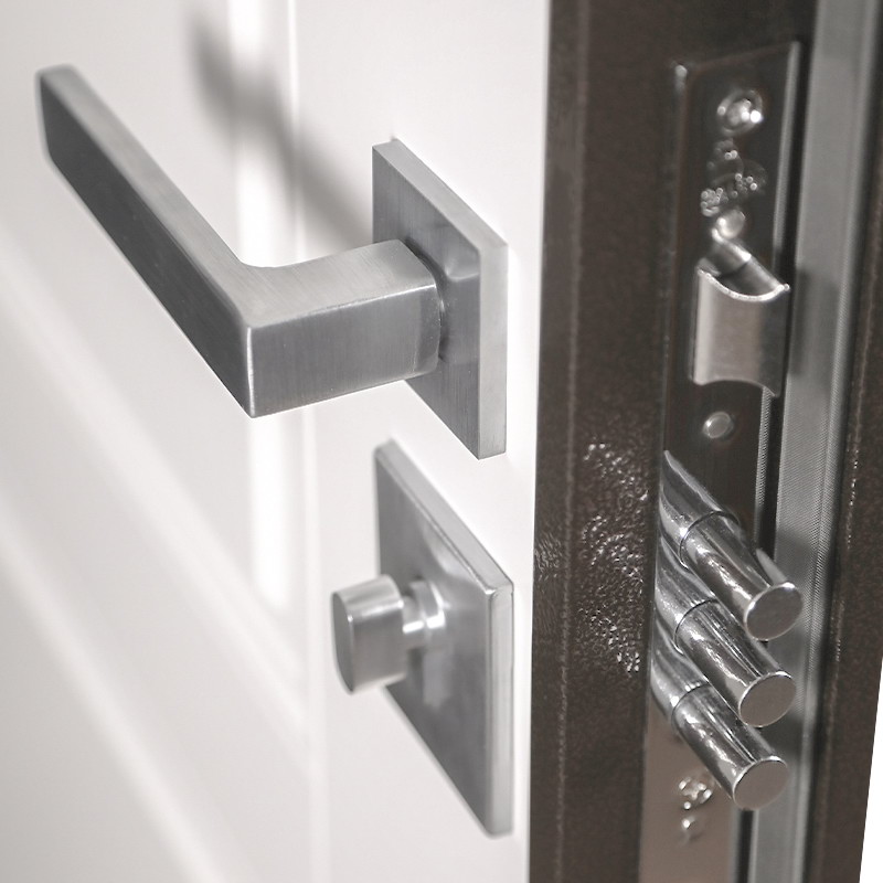 Входная дверь Лидер