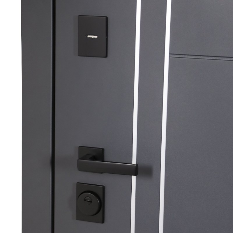 Входная дверь Вегас