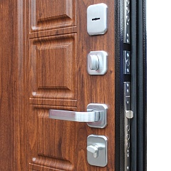 Входная дверь АСД Спартак орех