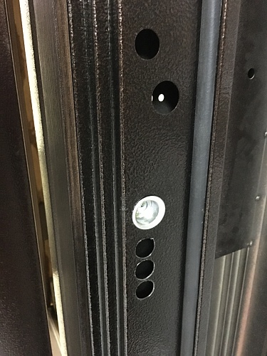 Входная дверь Консул