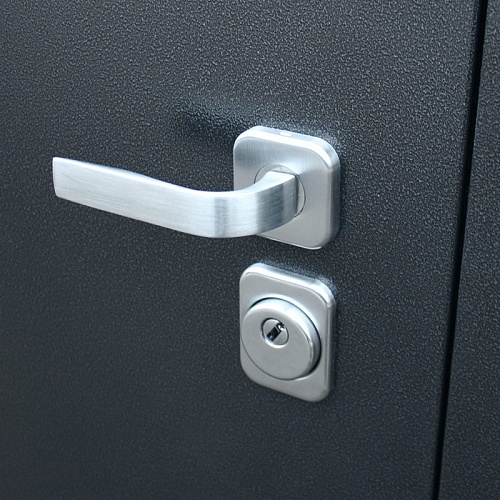 Дверь Некст