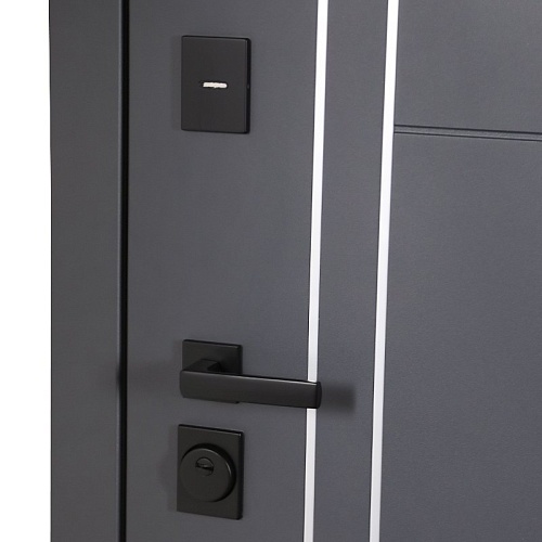 Входная дверь Вегас